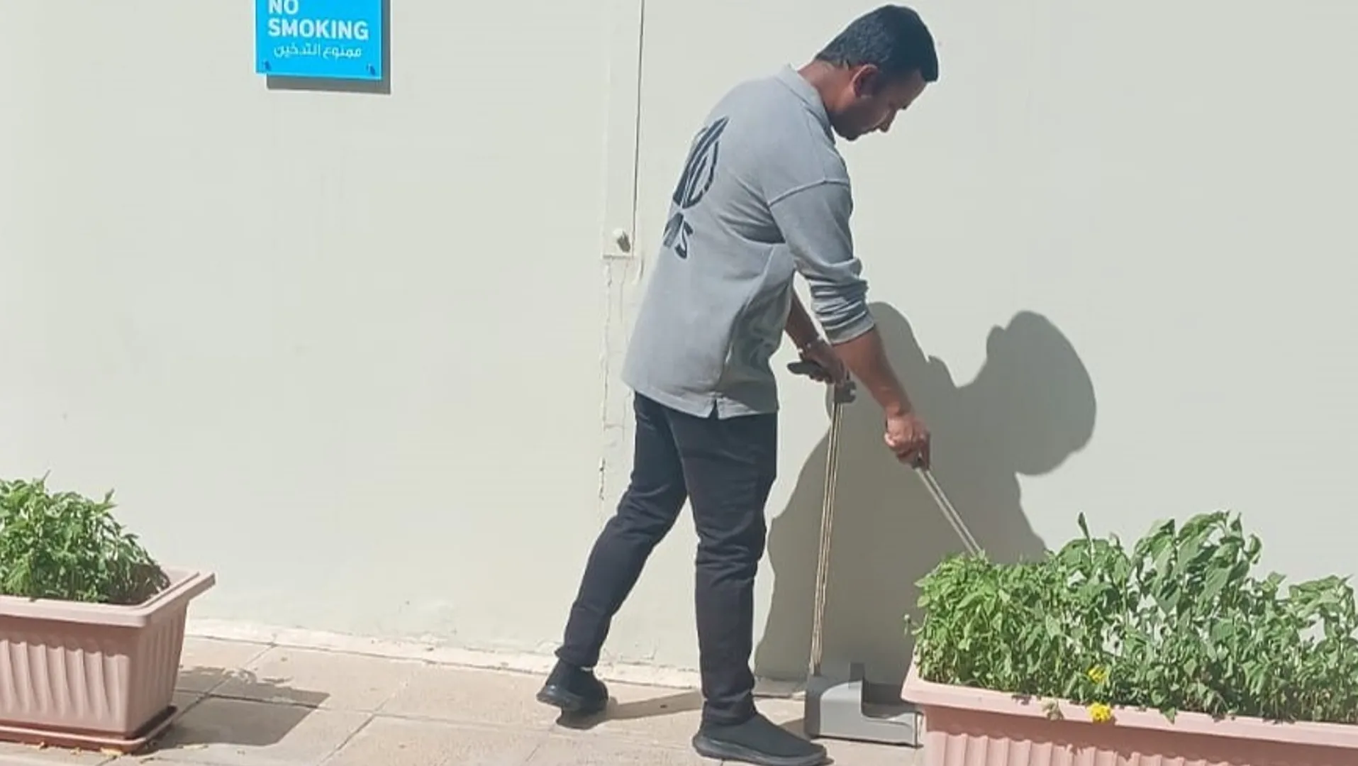 خدمات الزراعة والبستنة